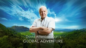 David Attenborough's Global Adventure