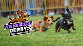 Meadowlands Racetrack Wiener Dog Derby