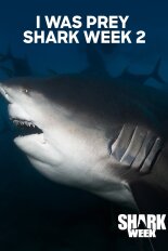 I Was Prey Shark Week 2