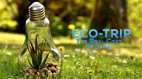 Eco-Trip: The Real Cost of Living