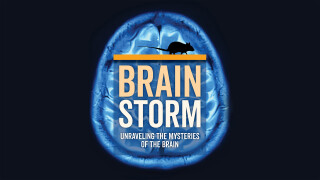 Brainstorm: Unraveling the Mysteries of the Brain