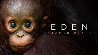 Eden: Untamed Planet