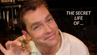 The Secret Life Of ...