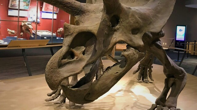 Dinosaurs: Anatomy of a Disappearance