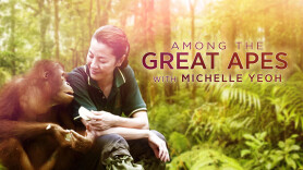 Among the Great Apes With Michelle Yeoh