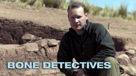 Bone Detectives