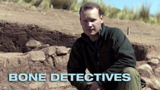 Bone Detectives