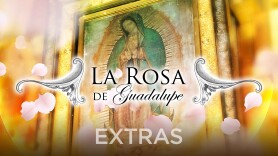 La rosa de Guadalupe: Extras