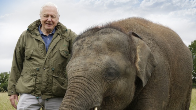 Attenborough and the Giant Elephant