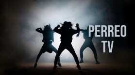 Perreo TV