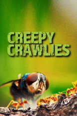 Creepy Crawlies