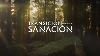 Transición hacía la sanación