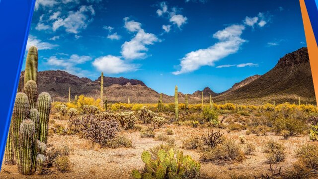 Good Morning Arizona on CBS 5