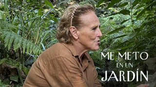 Me meto en un jardín
