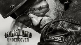 Gangland Undercover