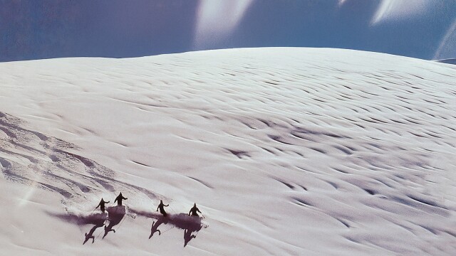 Warren Miller's Snowonder