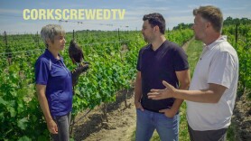 CorkScrewedTV