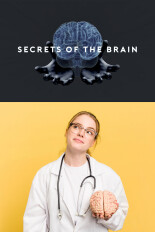 Secrets of the Brain