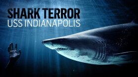 Shark Terror: USS Indianapolis