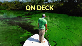 On Deck