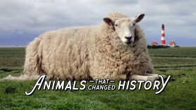 Animals That Changed History