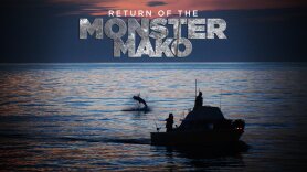 Return of the Monster Mako