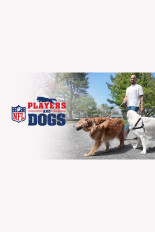 NFL Players & Dogs: Life Off the Field