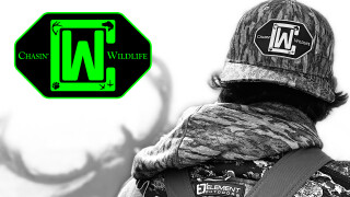 Chasin' Wildlife Tv
