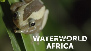 Waterworld Africa
