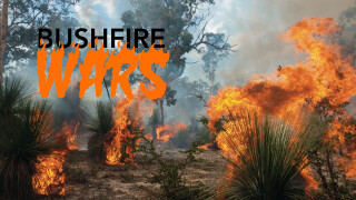 Bushfire Wars