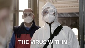 The Virus Within
