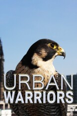 Urban Warriors
