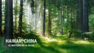 Hainan, China: El misterio de la selva