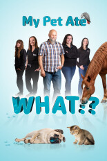 My Pet Ate What?