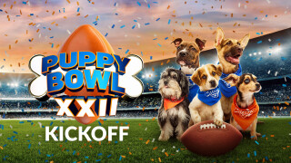 Puppy Bowl XXII Kickoff