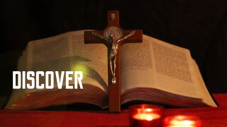 Discover