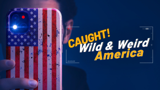 Wild & Weird America