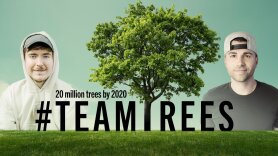 #TeamTrees