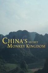 China's Secret Monkey Kingdom