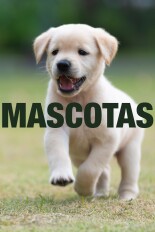 Mascotas