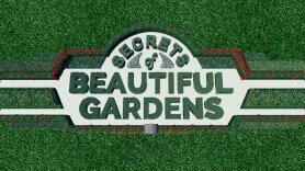 Secrets of Beautiful Gardens