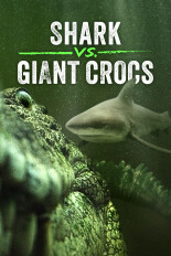 Shark vs. Giant Croc