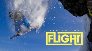 The Art of Flight