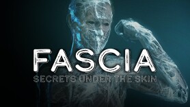 Fascia: Secrets Under the Skin