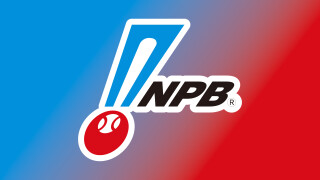 Nippon Professional Baseball