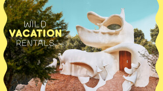 Wild Vacation Rentals