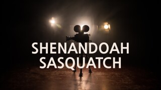 Shenandoah Sasquatch