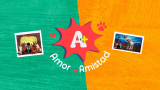 Amor y amistad