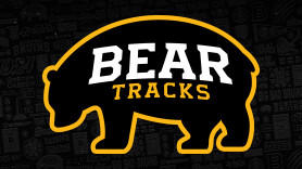 Bear Tracks - The Offseason