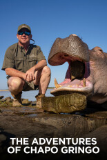 Adventures of Chapo Gringo